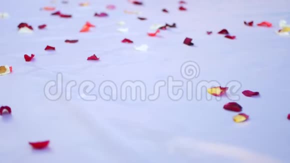 白色地板上的红色玫瑰花瓣婚礼花饰视频的预览图