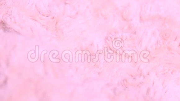 粉色毛布背景视频的预览图