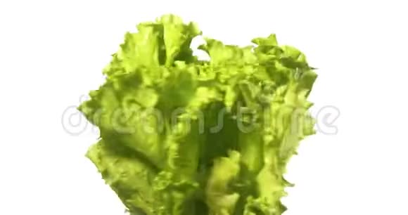 莴苣色拉旋转白色背景食物悬浮在空中视频的预览图