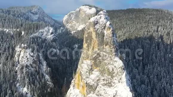 冻树和白岩山冬景视频的预览图