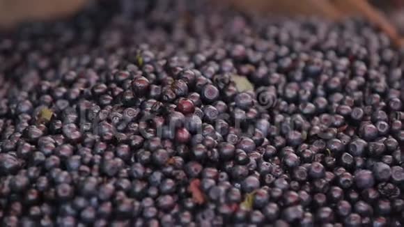 本地市场上的新鲜有机水果质量控制农业视频的预览图