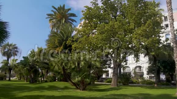 马塞纳博物馆和花园与异国情调的绿树在尼斯别墅外部视频的预览图