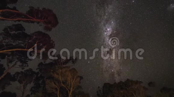 澳大利亚树木上空银河系旋转的时间流逝视频的预览图