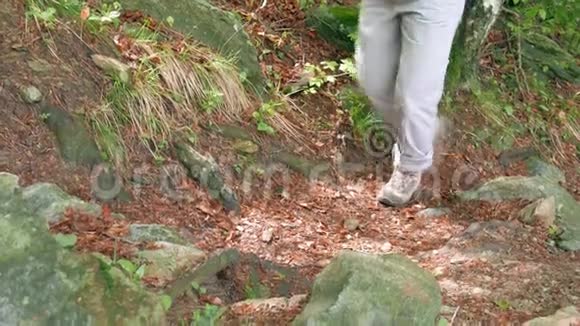 在森林里的小径上徒步旅行用腿和脚近距离拍摄电影般的色调视频视频的预览图