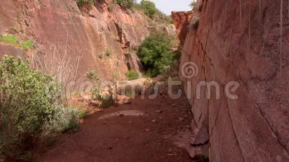 老妇人漫步到山里的峡谷里视频的预览图