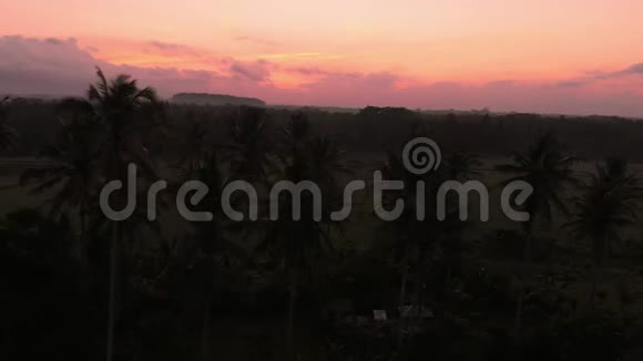 在巴厘岛日出或日落时用稻田观赏风景视频的预览图