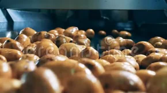 食品生产工厂马铃薯清洗过程视频的预览图