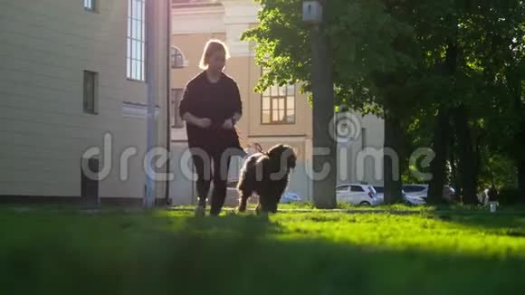 女孩和狗带着皮带穿过公园在树木和建筑物的背景下夏日视频的预览图