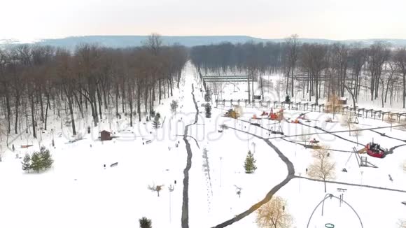 公园冬季空中景观视频的预览图