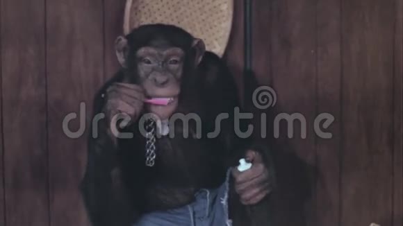 猴子刷牙视频的预览图