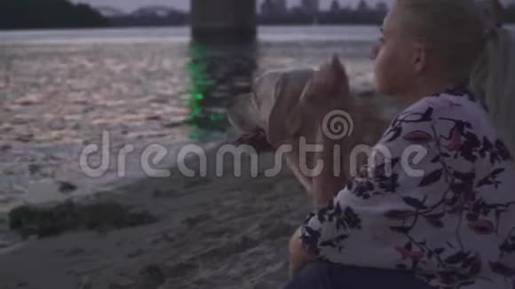 美丽的女孩和一只狗在河岸散步视频的预览图