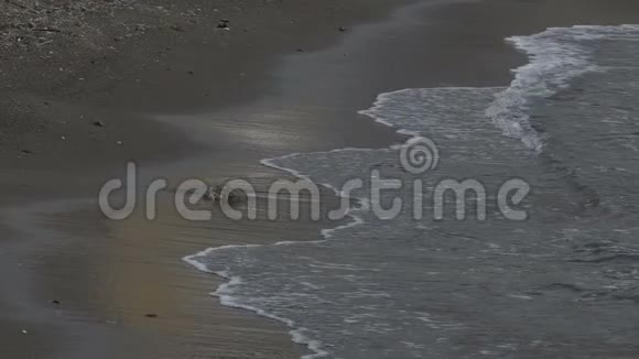 波浪翻滚到沙滩上海岸上留下潮痕动作缓慢视频的预览图