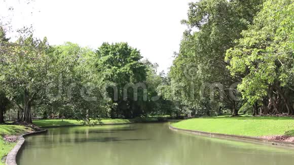 宁静的花园有水库的景象水树木灌木和风影响的叶子视频的预览图
