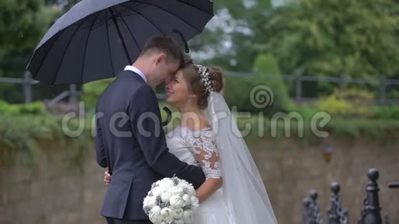 一半长的肖像幸福华丽的新婚夫妇在雨中的伞下温柔地摩擦鼻子视频的预览图