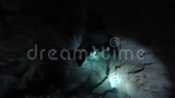 尤卡坦半岛水下生态系统中的潜水员视频的预览图