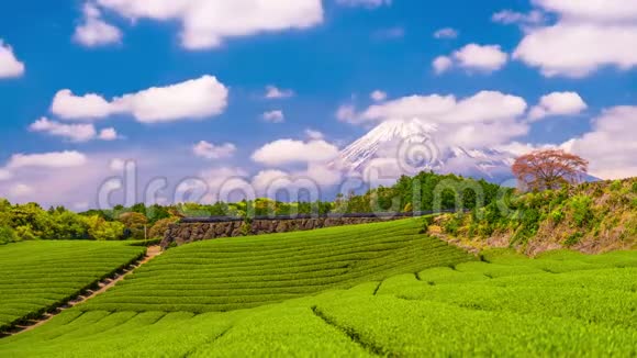 茶园与富士山视频的预览图
