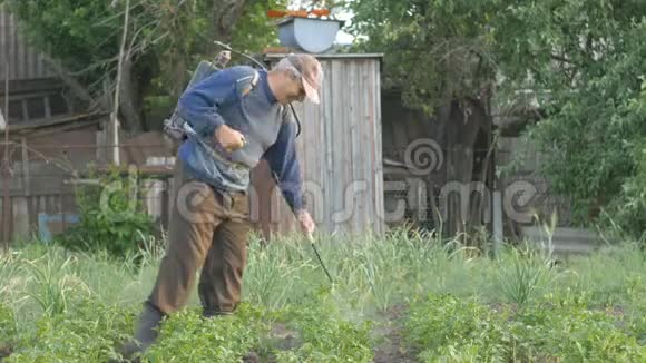 园艺工人在马铃薯叶子上喷洒杀虫剂甲虫视频的预览图