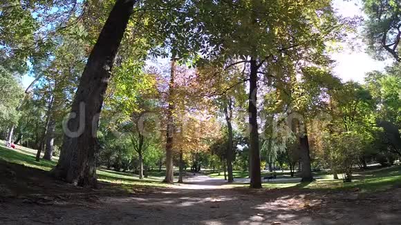 情侣牵手漫步马德里皇家公园浪漫背景视频的预览图