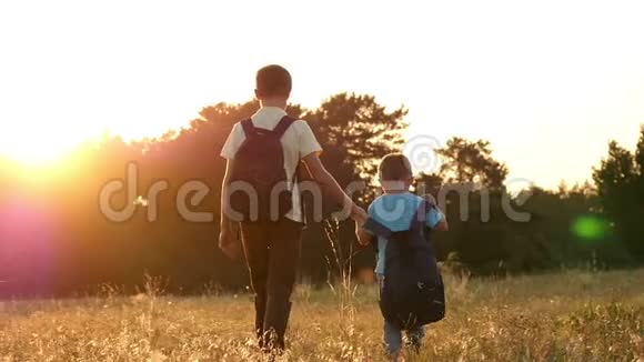 一个游客的两个哥哥拿着背包走着手牵着手快乐的孩子们在夕阳下漫步在大自然中视频的预览图