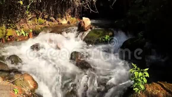 国家保护区的希腊河流纳哈勒赫蒙以色列巴尼亚斯保护区视频的预览图