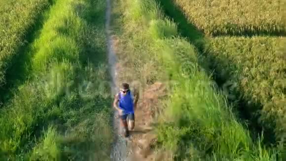 在美丽的草地上跑步锻炼的运动跑步青年男子的空中追踪视频的预览图