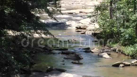 佐治亚州索普溪夏季放大索普溪上游景观视频的预览图