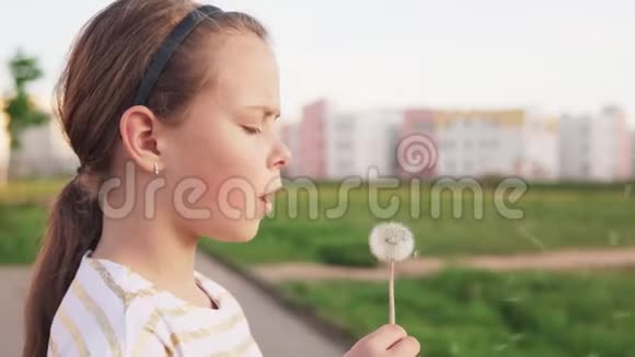 可爱的小女孩在城市草坪上吹蒲公英视频的预览图