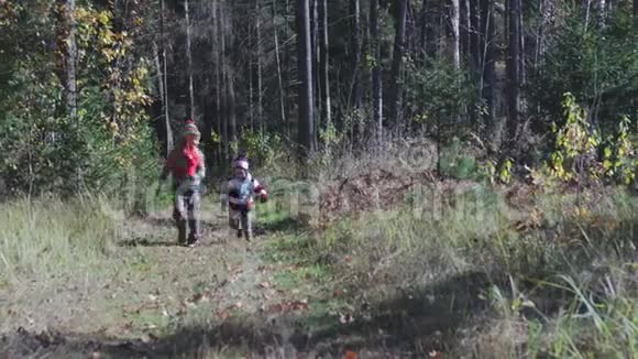 快乐的孩子们哥哥姐姐在秋天穿过森林视频的预览图