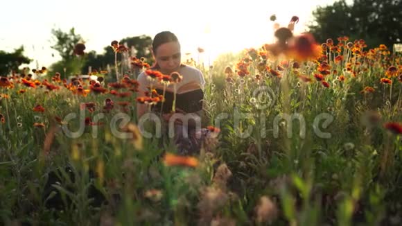 女人在绿色的田野里在草地和鲜花中看书视频的预览图