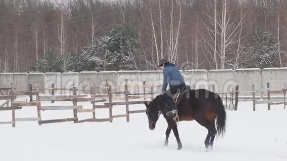 骑着红马的女骑手骑着雪环视频的预览图