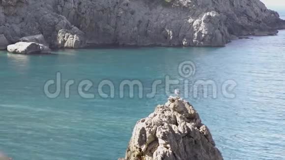 蓝色大海的海岸悬崖景观艺术完美的夏季区域蓝色的海洋和悬崖峭壁耸立的海景视频的预览图