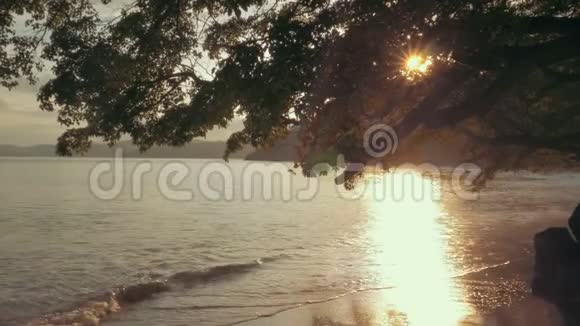 在日落时拍摄一片热带海滩有一个华丽的耀斑视频的预览图