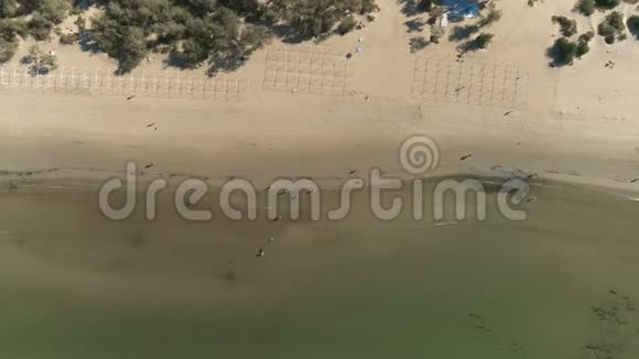 带小波浪和步行人的沙滩的高空俯视图视频的预览图