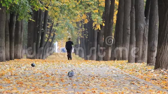 秋天公园里五颜六色的金色小巷树叶飘落穿着蓝色西装的年轻人走在小巷里谈论视频的预览图