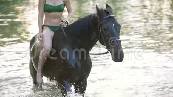 夏天年轻快乐的女人骑在河里的黑马上视频的预览图