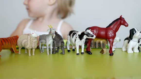 幼儿用学习玩具玩动物的生活发展逻辑和运动能力辨别动物的能力视频的预览图