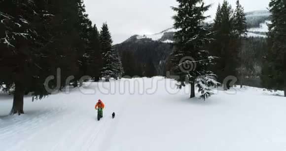 男子与狗骑自行车雪林4k视频的预览图