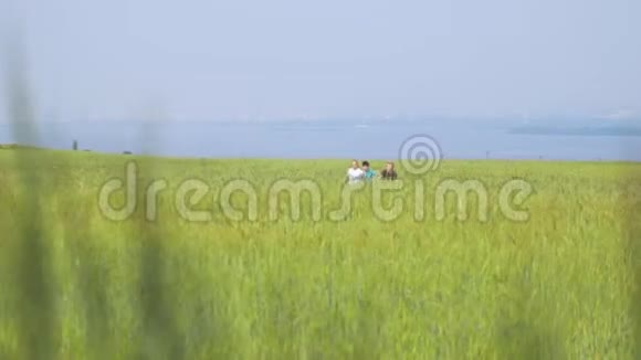 快乐的孩子们在夏日草地上奔跑视频的预览图