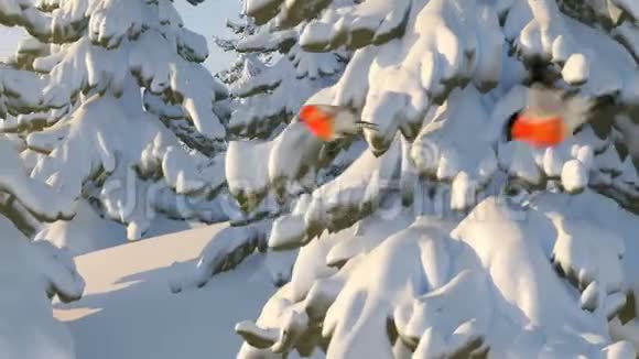 圣诞老人和驯鹿在路上绿色背景下带有圣诞快乐文本的美丽3d动画视频的预览图