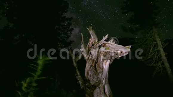 4K运动时间推移在森林上空的银河干燥的树渣视频的预览图