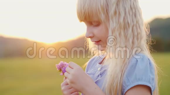 金发女孩6和一束野花日落时站在田野里侧视视频的预览图