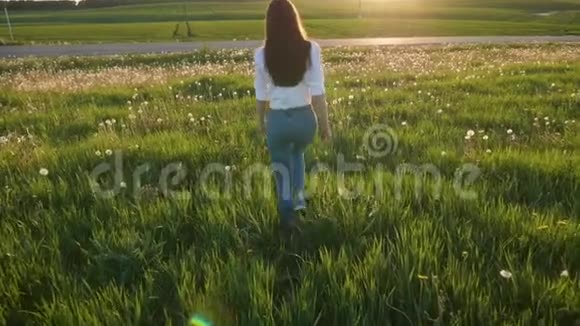 美丽的女孩带着蒲公英走在田野上视频的预览图