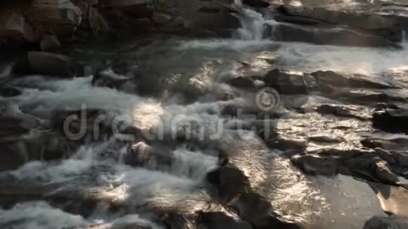 森林里美丽的小瀑布视频的预览图