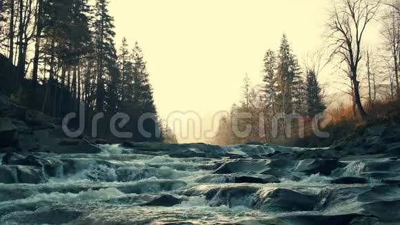 森林里美丽的小瀑布视频的预览图