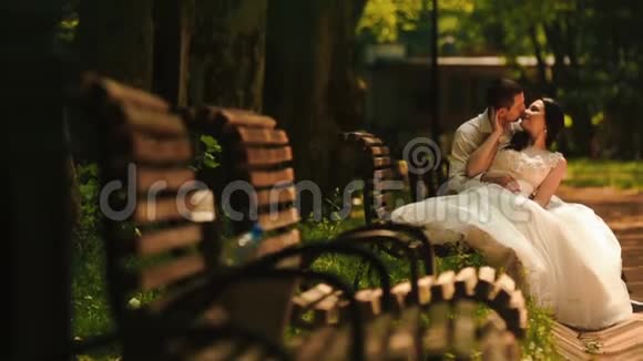 迷人的新婚夫妇正在阳光公园的长凳上接吻视频的预览图