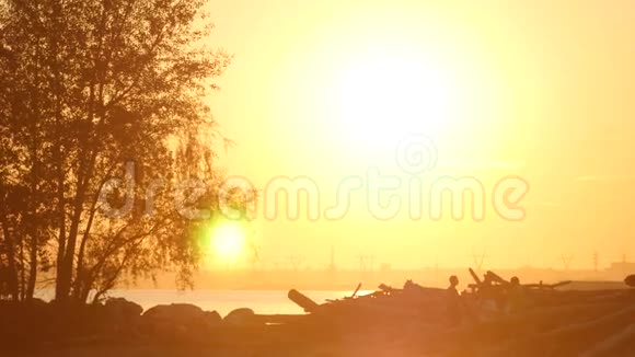 日落时海滩和树视频的预览图