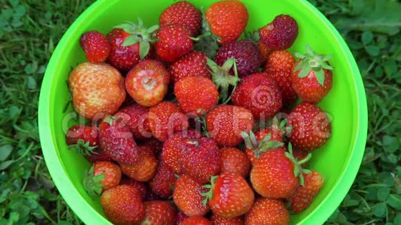 把新鲜草莓放进绿色的碗里视频的预览图