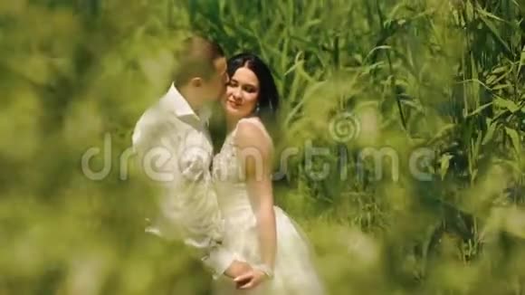 英俊的新郎在绿色盛开的田野里轻轻地亲吻他迷人的黑发新娘的脸颊视频的预览图