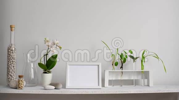 现代客房装饰与相框模型架子靠白色的墙壁装饰蜡烛玻璃和岩石植物切割视频的预览图