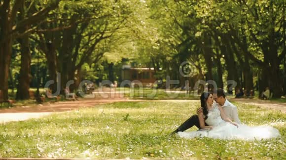 一对年轻迷人的新婚夫妇坐在草地上享受着彼此的乐趣新郎是视频的预览图